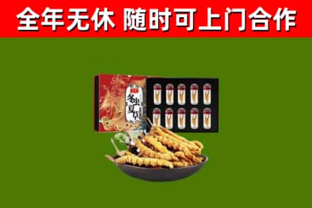 五常市回收冬虫夏草价格